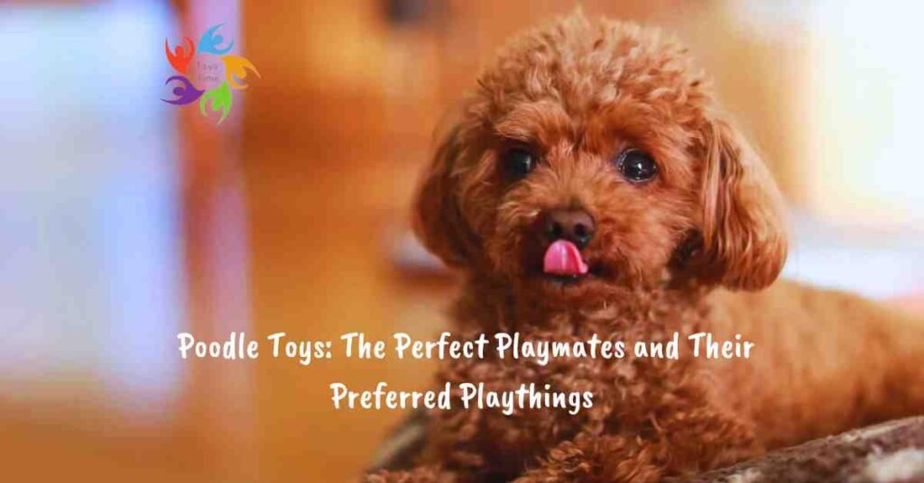 Poodle Toys