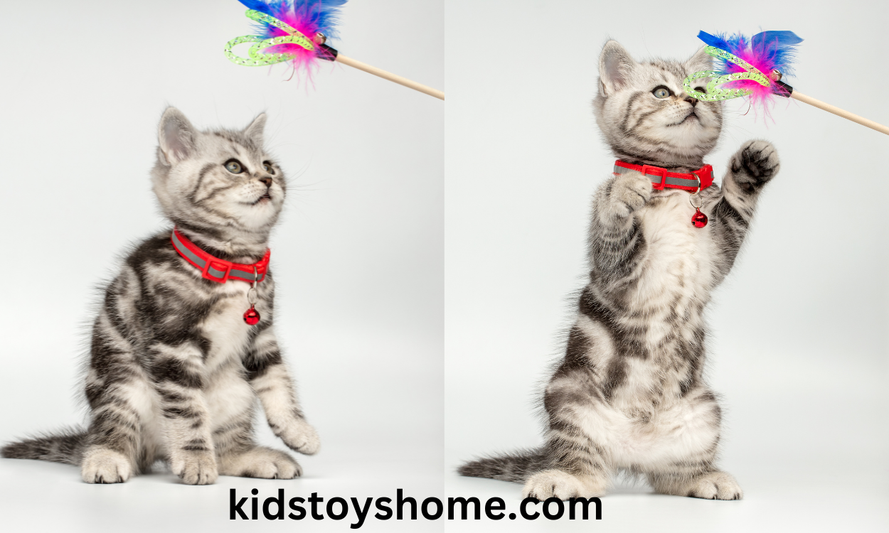 Why the Cat Dancer Toy Is a Must-Have for Every Cat Parent