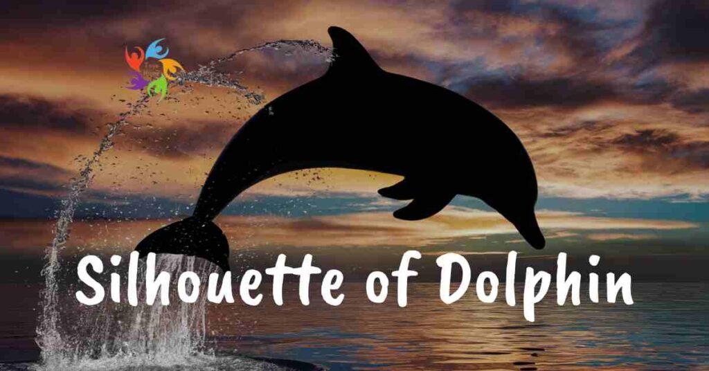 dolphin crafts for preschoolers