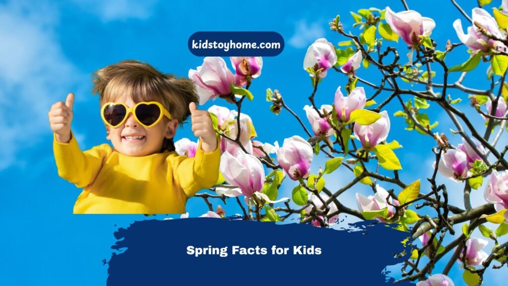 spring facts for kids